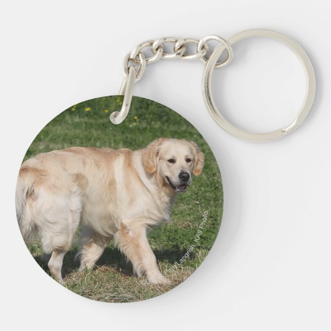 Porte-clefs Marche de golden retriever (Dos)