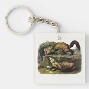 Porte-clefs Martre des pins (Mustela Martes) Martre américaine