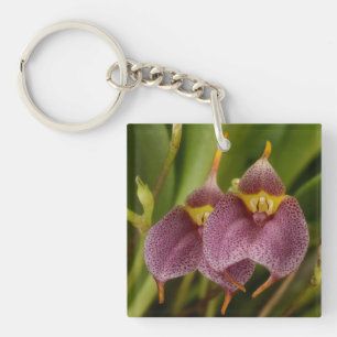 Porte-clefs Masdevallia