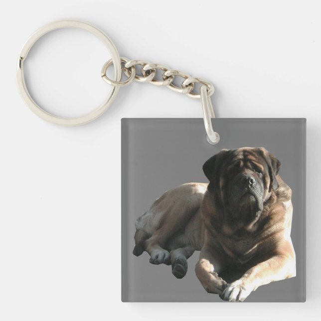 Porte-clefs Mastiff Géant Gentil (Devant)