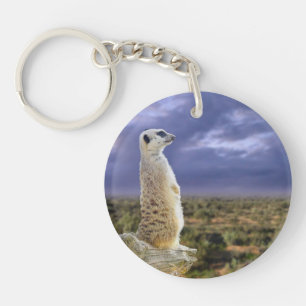 Porte-clefs Meerkat Et Le Grand Extérieur.