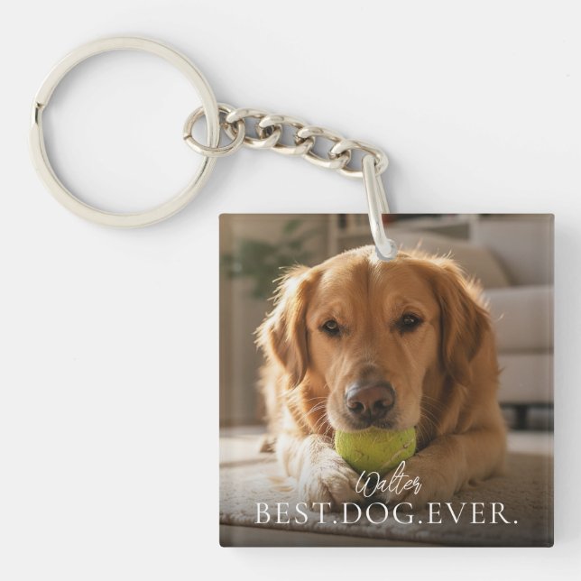 Porte-clefs Meilleur chien jamais souvenir photo animal de com (Devant)
