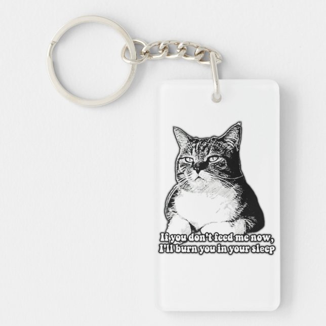 Porte-clefs Mème de chat grincheux pour les amoureux de les ch (Devant)
