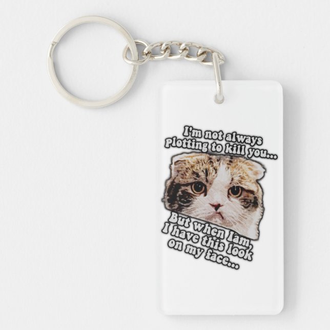 Porte-clefs Mème de chat grincheux pour les propriétaires de c (Devant)