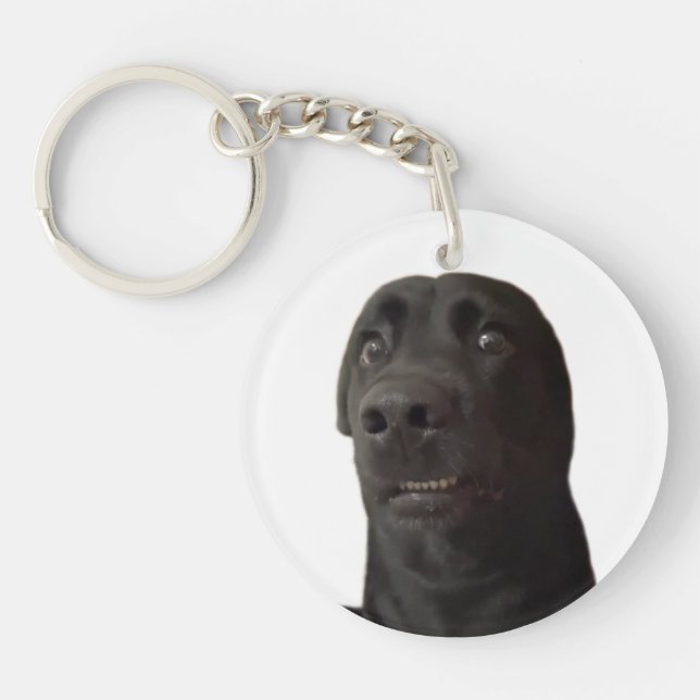 Porte-clefs Mème de chien effrayé porte - clé (Devant)