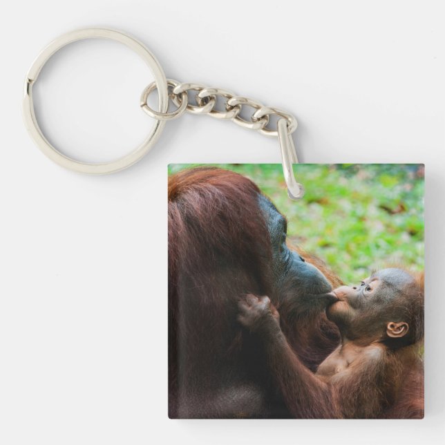 Porte-clefs Mère orang-outan avec bébé (Devant)