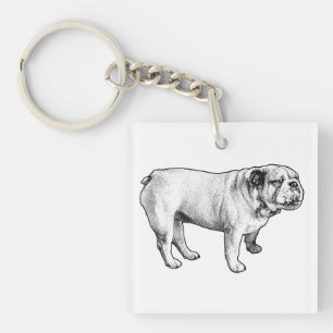 Porte-clefs microdot poise, bouledogue