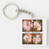 Milkweed | Sangria