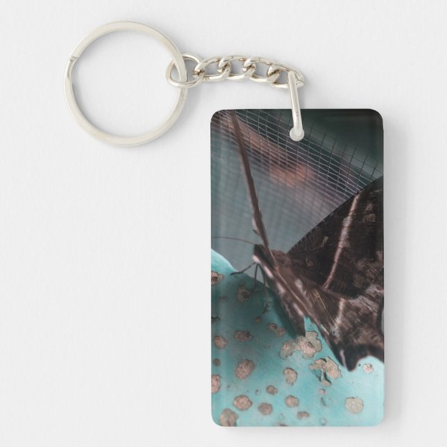 Porte-clefs Moth papillon tropical (Devant)