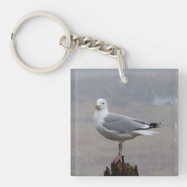 Porte-clefs Mouette Élégante Debout Unique Côtière (Devant)