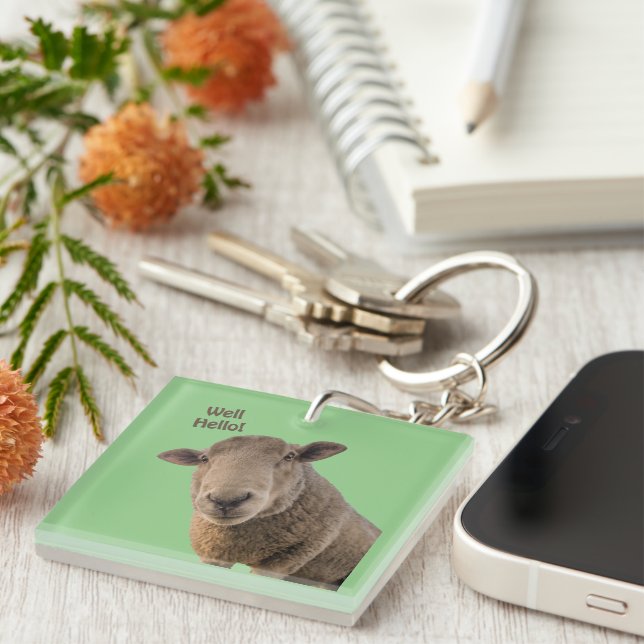 Porte-clefs Mouton (Devant Droit)