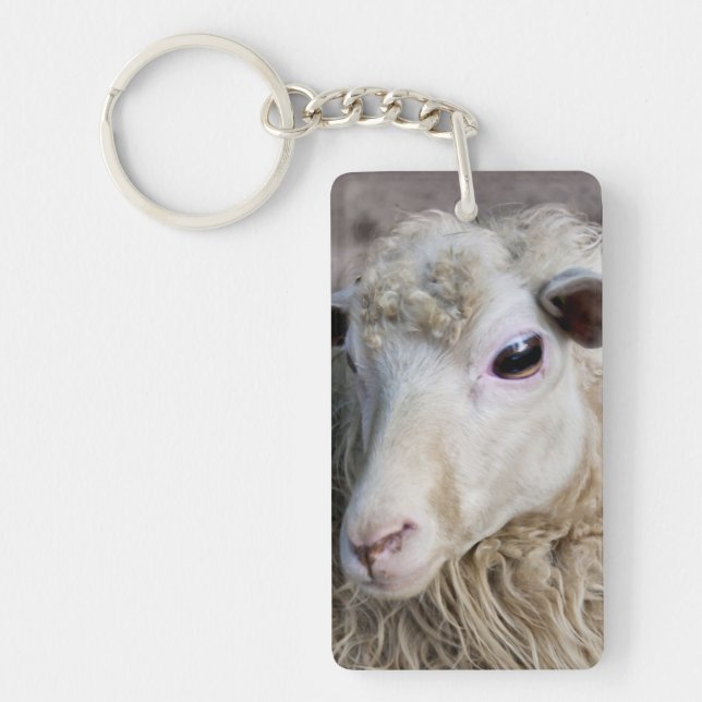 Porte-clefs Mouton drôle (Devant)