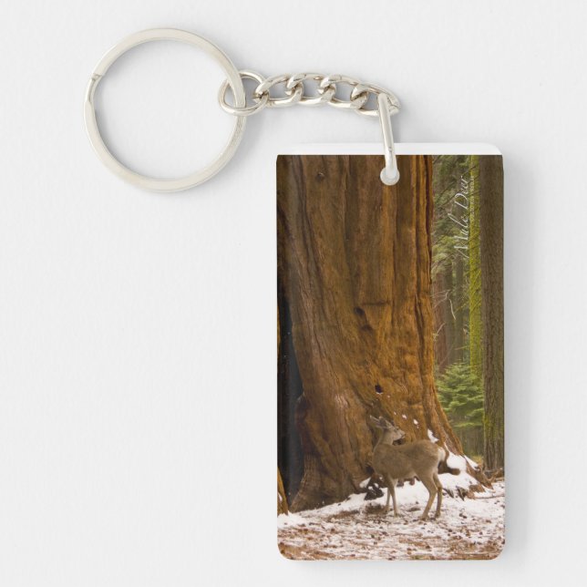 Porte-clefs Mule Deer (Devant)