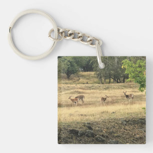 Porte-clefs Mule Deer in a Field, Joseph, Oregon