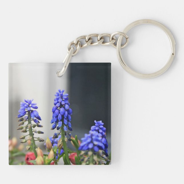 Porte-clefs muscaris à grappe (Dos)