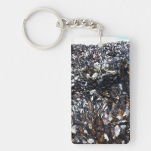 Porte-clefs Muscles et Barnacles à Bob Creek, OU