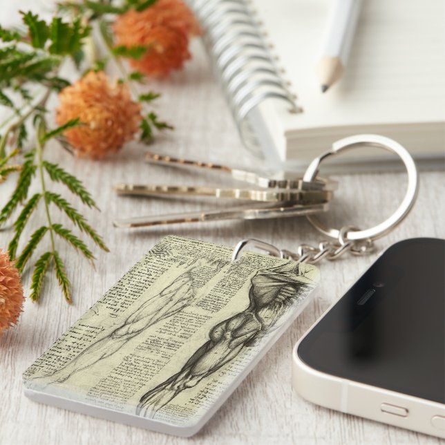 Porte-clefs Muscles humains anatomiques de Léonard de Vinci (Devant droit)