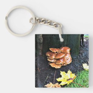 Porte-clefs Mushrooms on a tree, Oregon