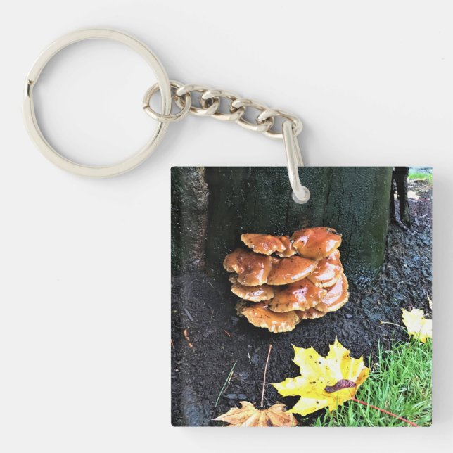 Porte-clefs Mushrooms on a tree, Oregon (Devant)