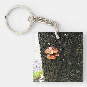 Porte-clefs Mushrooms on a tree, Oregon