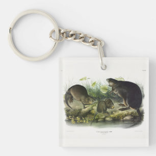 Porte-clefs Muskrat de Quadrupeds of North America d'Audubon