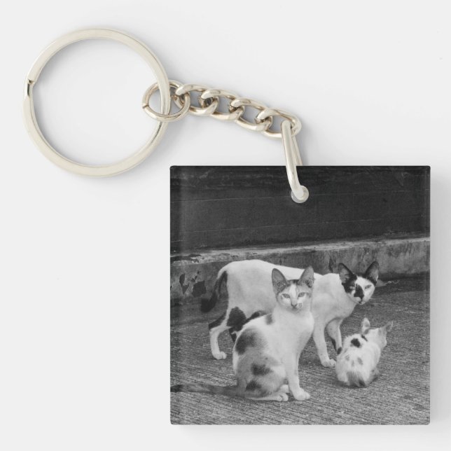 Porte-clefs N&B -  Chats (Devant)