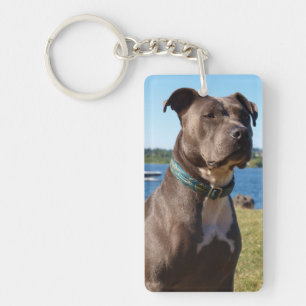 Porte-clefs Nez bleu