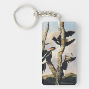 Porte-clefs Œuvre d'art vintage d'Audubon sur le Pic à bec ivo