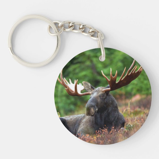 Porte-clefs Oie (Devant)