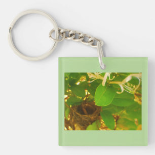 Porte-clefs Oiseau-de-mer Nest Honeysuckie