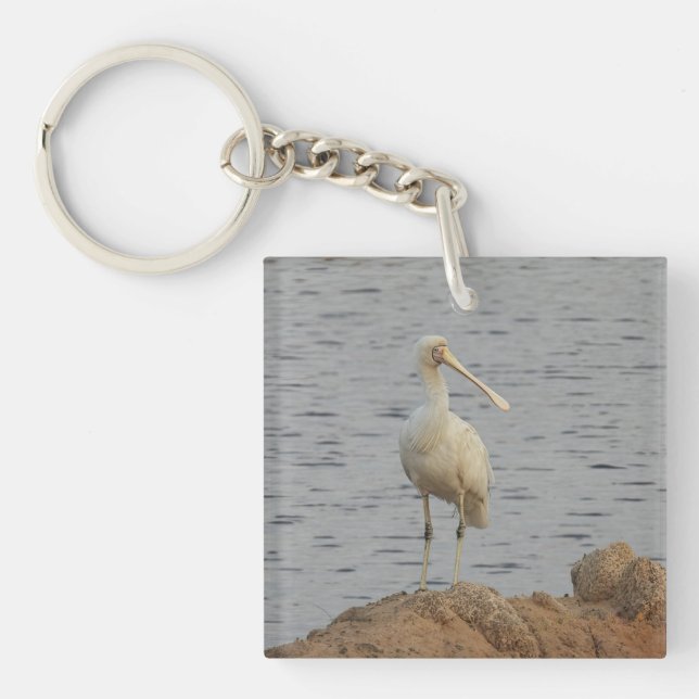 Porte-clefs Oiseau de spatule (Devant)