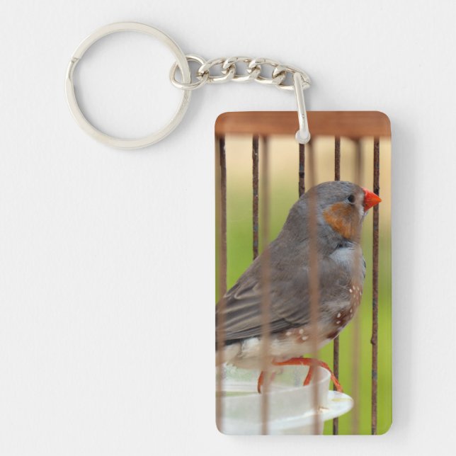 Porte-clefs Oiseau Zebra Finch en cage (Devant)