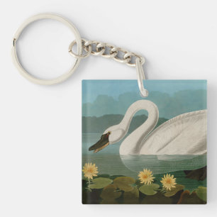 Porte-clefs Oiseaux communs de cygne d'Amérique Audubon