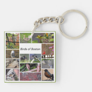 Porte-clefs Oiseaux de Boston Photo Collage