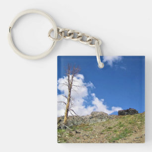 Porte-clefs Old Stone Cabin at Gaylor Lakes, Tioga Pass, CA