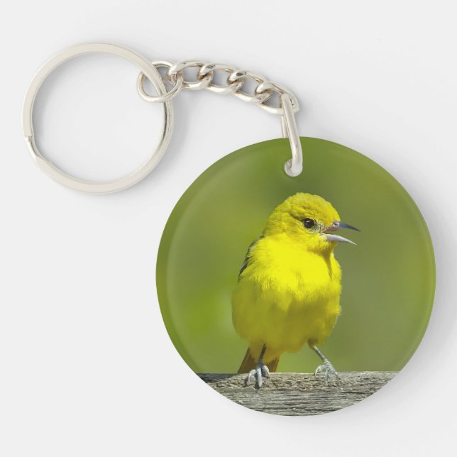 Porte-clefs Orchard Oriole - Photo originale (Devant)