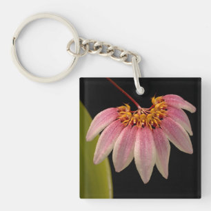 Porte-clefs Orchidée rose tropicale
