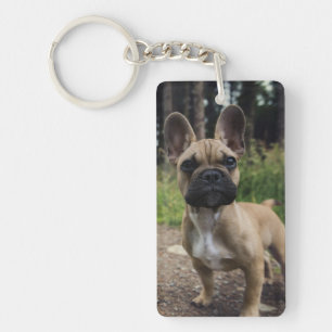 Porte-clefs Oreiller à lancer de chien de taureau français