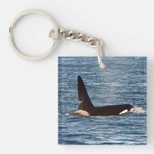 Porte-clefs Orque "John Coe" & "Aquarius" Orca