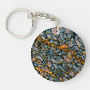 Porte-clefs Os de dinosaure pétrifié