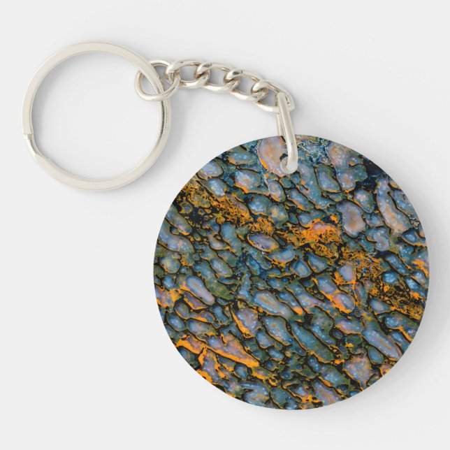 Porte-clefs Os de dinosaure pétrifié (Devant)