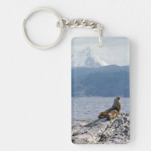 Porte-clefs Otaries dans le canal beagle - Argentine