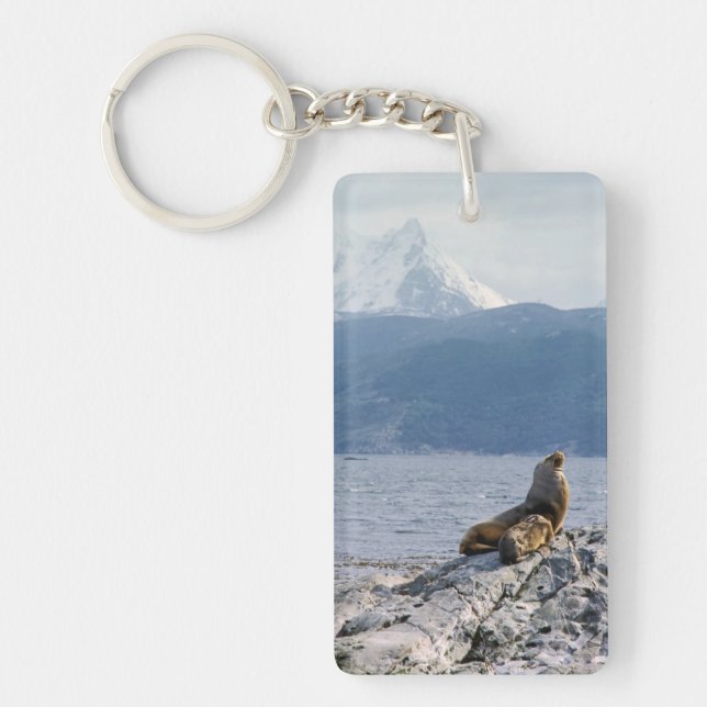 Porte-clefs Otaries dans le canal beagle - Argentine (Devant)