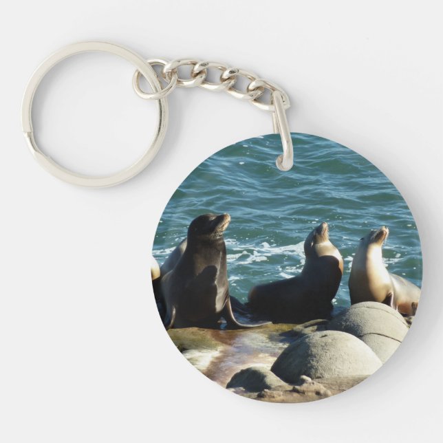 Porte-clefs Otaries de San Diego (Devant)