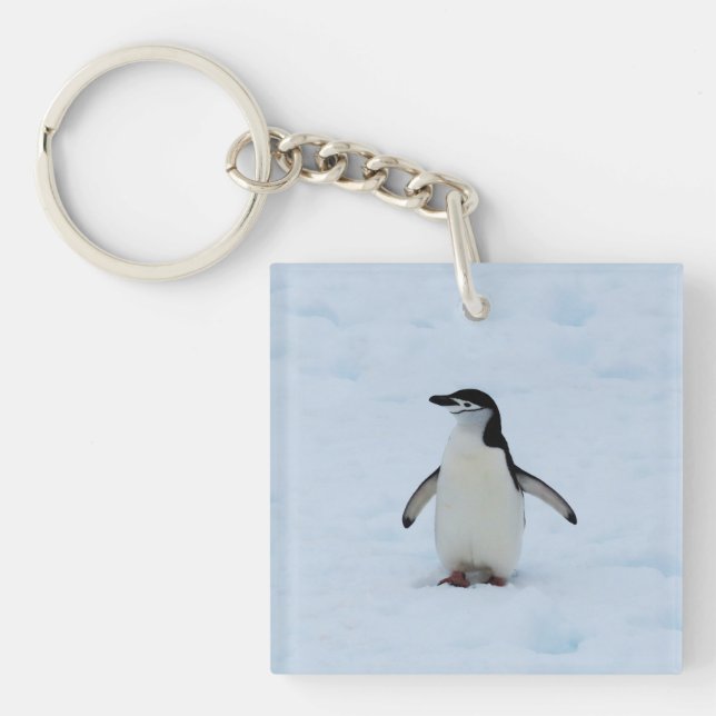Porte-clefs Où suis-je (Devant)