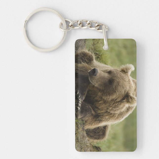 Porte-clefs Ours brun, ou Ours grizzly côtier, Ursus (Devant)