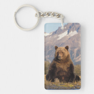 Porte-clefs ours brun, Ursus arctos, grizzly, Ursus