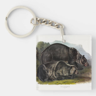 Porte-clefs Ours grizzli (Ours Brown nord-américain) - Audubon