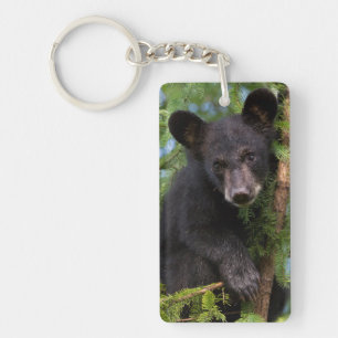 Porte-clefs Ours noir jeune jouant dans les arbres