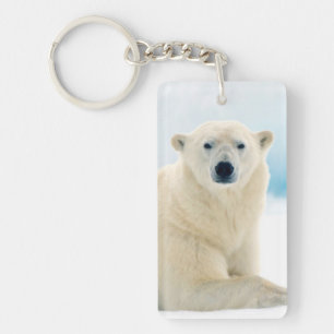 Porte-clefs Ours polaire adulte grand verrat sur la glace d'ét